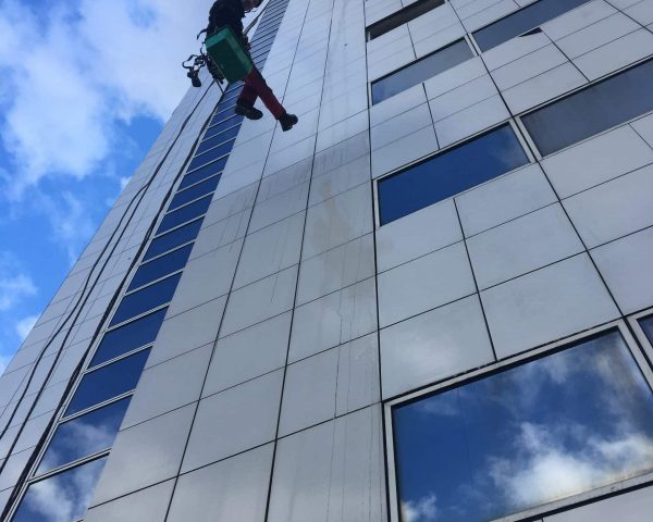 NETTOYAGE IBIS 01-IMG_0750 NETTOYAGE IBIS 01-IMG_0750