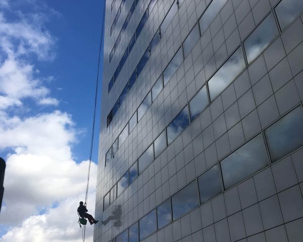 NETTOYAGE IBIS 01-IMG_0753 NETTOYAGE IBIS 01-IMG_0753