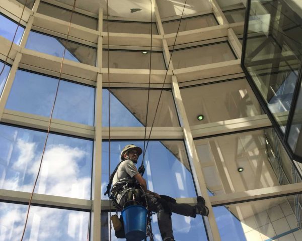 NETTOYAGE IBIS 01-IMG_1086 NETTOYAGE IBIS 01-IMG_1086