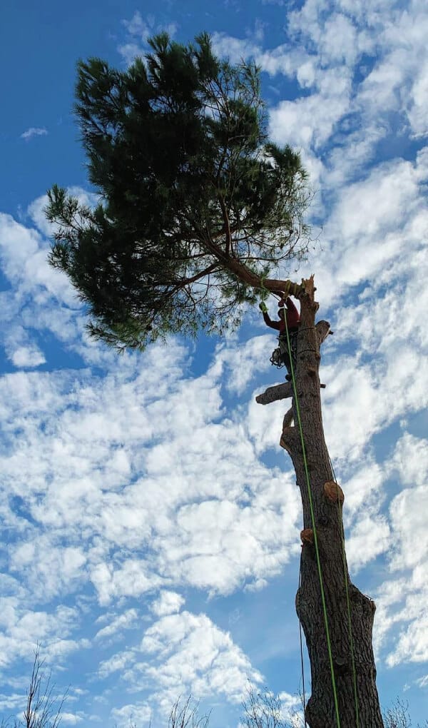 accro-services-accueil-specialites-milieu-naturel